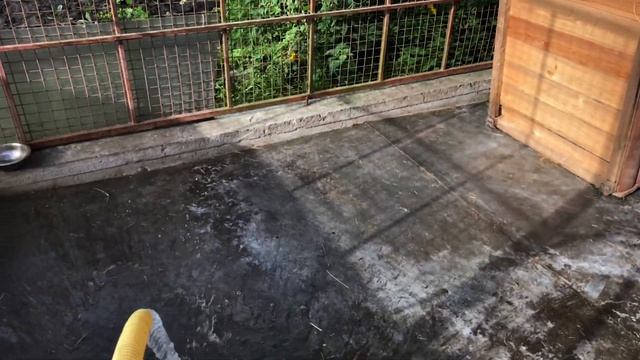 КАК проходит уборка вольера АЛАБАЯ || Вольер и будка собаки уход || АЛАБАЙ и вольер смотреть онлайн