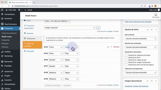 Como Añadir Colores y Tallas a tus Productos - Video #5 Curso WooCommerce смотреть онлайн