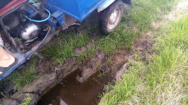 Засадили Муравья смотреть онлайн