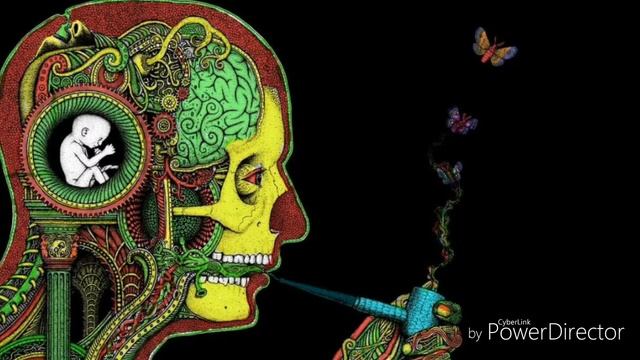 Овцы, волки и пастухи. Глава четвёртая (1). Как устроен мир людей? смотреть онлайн