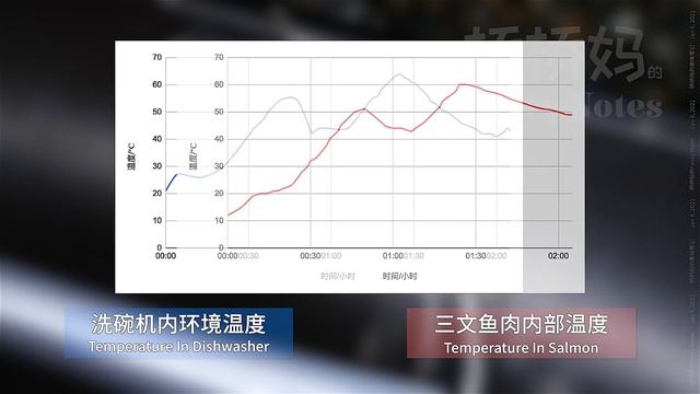 煎三文鱼 洗碗机低温水浴法 Sous Vide Salmon with a Dishwasher смотреть онлайн