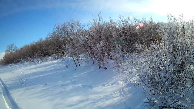 Охота на зайца.Загнал собак!/Hunting a hare.The dogs are tired! смотреть онлайн