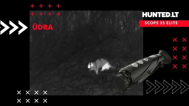 Night Pearl termovizoriai Scops 35 Elite: huntrd.lt medžioklės įranga смотреть онлайн