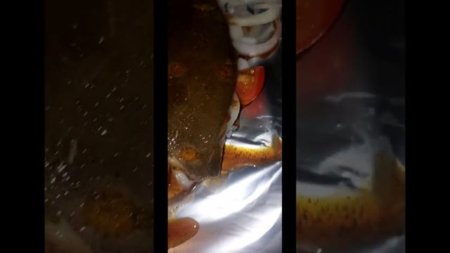 камбала с овощами в духовке :) смотреть онлайн