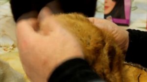 Как красить мех краской для волос. Красим норку