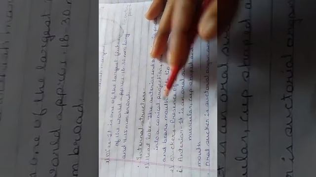 Habit and habitat, structure of fasciola hepatica#botany#bsc смотреть онлайн