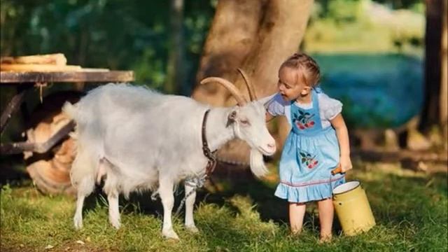 коза домашнее животное смотреть онлайн