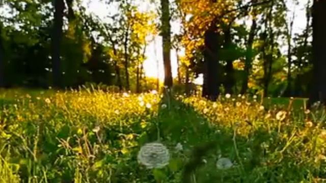 Дарю тебе солнышко. смотреть онлайн