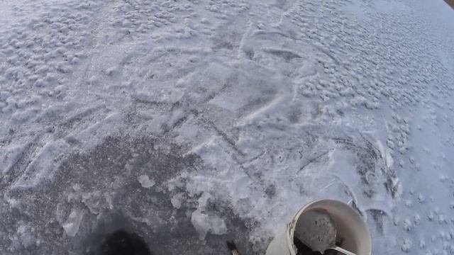 На ПЕРВЫЙ ЛЁД за ЗЛЫМИ ПОКЛЁВКАМИ! ЛЕСНОЕ ОЗЕРО РАЗДАЁТ! Первый лёд 2022-23. смотреть онлайн