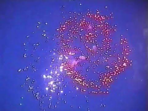 Салют 9 мая в Москве на Воробьевых горах, 2000 год смотреть онлайн