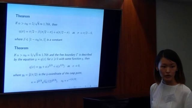 21 Анастасия Местникова. 2/2 дискуссия. Сингулярный сток несжимаемой жидкости. смотреть онлайн