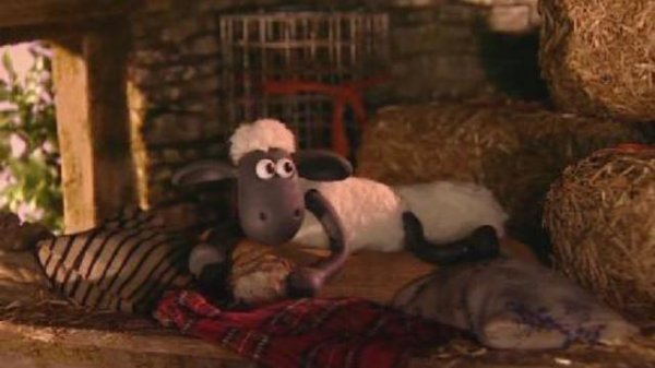 3 - Shape Up with Shaun