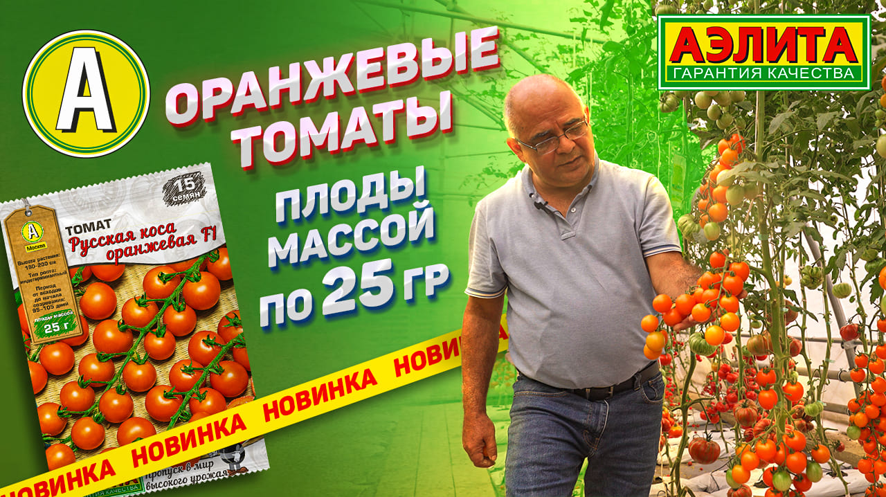 Высокоурожайный ОРАНЖЕВЫЙ черри томат смотреть онлайн