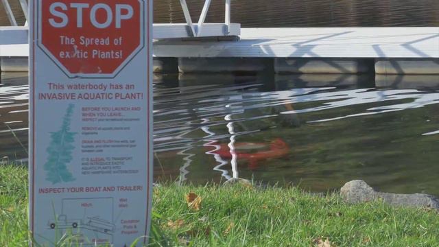 A Pollution Problem in Rivers and Streams? смотреть онлайн