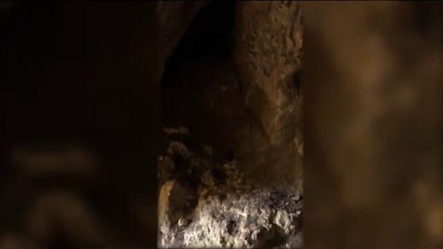 Памятные места родного края. Урочище "Излучина" Веневский район Тульская область смотреть онлайн