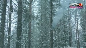 Мужик из Сибири - Долгая разлука