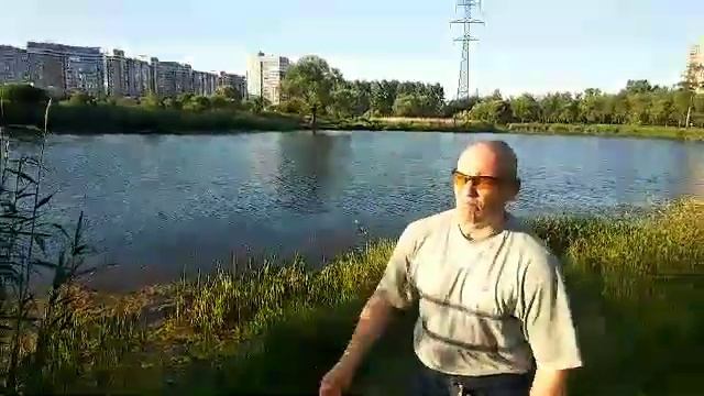 Пруды около проспекта Славы в Купчино смотреть онлайн