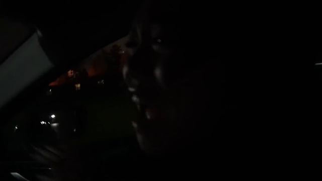 DONT GO TO THE EXPERIMENTAL FARM AT 3AM OR PIGSAW.EXE WILL APPEAR| PIGSAW ABDUCTED MY FRIEND (SCARY смотреть онлайн