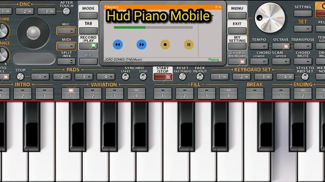 JOÃO GOMES - DENGO, SOLO NO TECLADO - ORG 2023 -NOVO ORG- | CD DIGO OU NÃO DIGO |