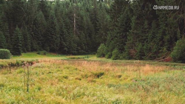 Совместимость Дев со всеми знаками Зодиака смотреть онлайн