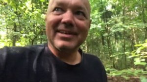 Натаска щенков лайки , первые выходы в лес со щенками .