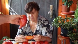 Хиты среди томатов! Лучшие томаты этого сезона. Собирала семена с гибридов и что в итоге вырастила