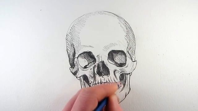 How to Draw a Realistic Skull: Narrated Step by Step смотреть онлайн