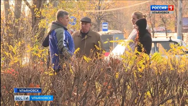 Посади и вырасти дерево смотреть онлайн