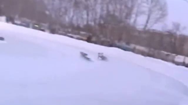 Мотогонки на льду Кочетов В. Кузнецов С. Овдин К. смотреть онлайн