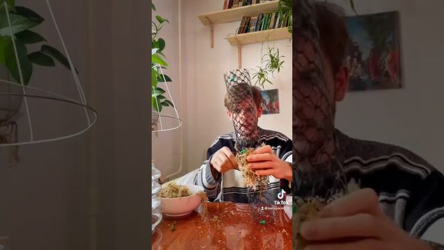 Опора из мха и почвы смотреть онлайн