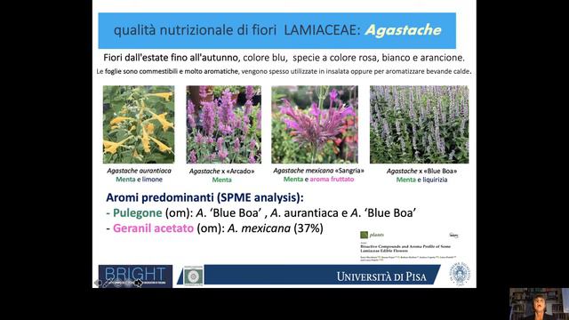 Fiori Commestibili: Da Ornamento A Risorsa Alimentare