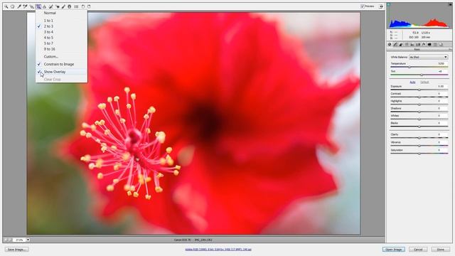 CS6 Cropping in RAW processor смотреть онлайн