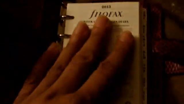 Unboxing My Filofax Mini Chameleon смотреть онлайн
