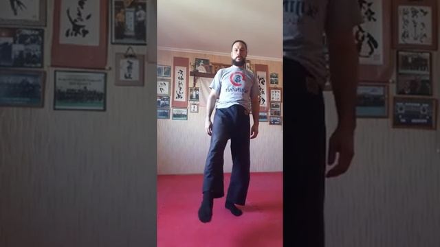 Будзинкан с Михаилом Матешем. Урок 5 смотреть онлайн