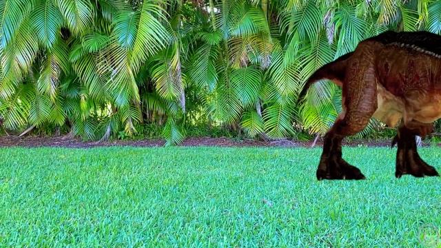 Nastya Draws Mysterious Drawings