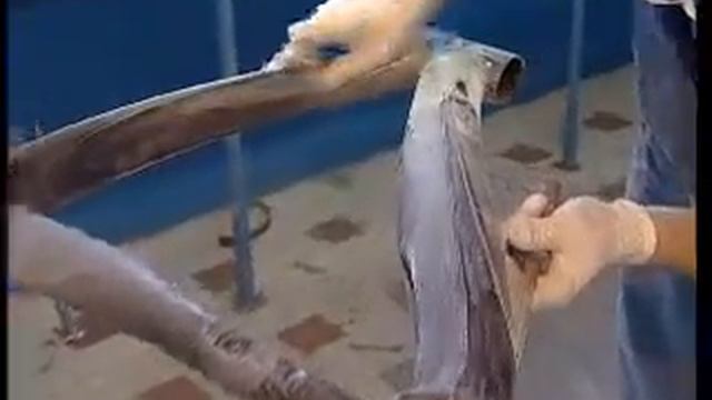 Bici Doc смотреть онлайн