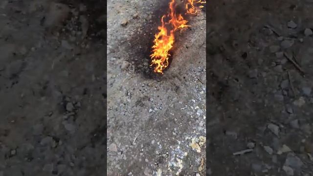 Бензин с маслом из целинда смотреть онлайн