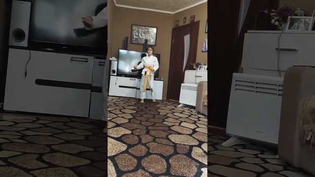 Ката на жёлтый пояс смотреть онлайн