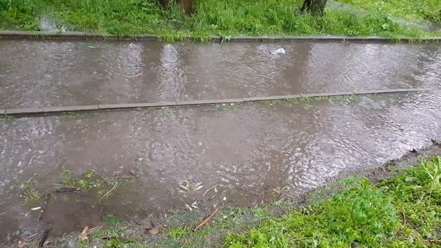 Тротуар смотреть онлайн