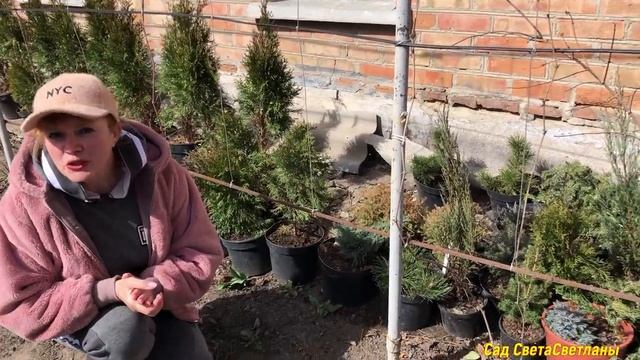 Начало ! Новый цветник! Растения для нового ЦВЕТНИКА ! Чудеса Бывают! Главное в жизни -ЛЮДИ! смотреть онлайн