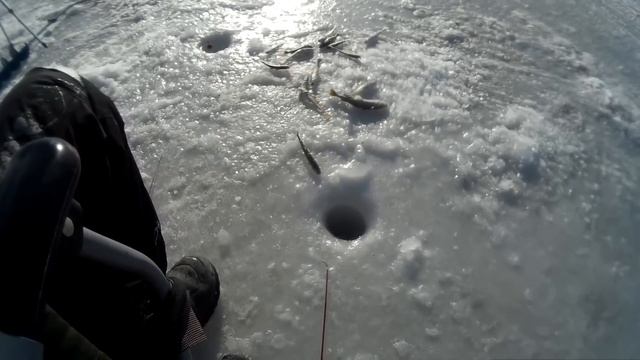 Зимняя Рыбалка на Блёсна! Подледный Лов Наваги в Шкотово! смотреть онлайн