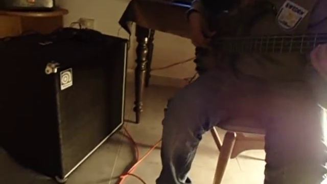Testiando ampeg ba115 смотреть онлайн