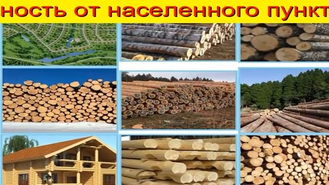Закуп пиловочника в Тюмени смотреть онлайн