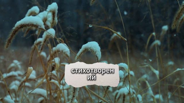 ТОНКОЕ ИСКУССТВО ПОФИГИЗМА #sports #Ngreris #мозг #психология #обучение #как найти себя смотреть онлайн