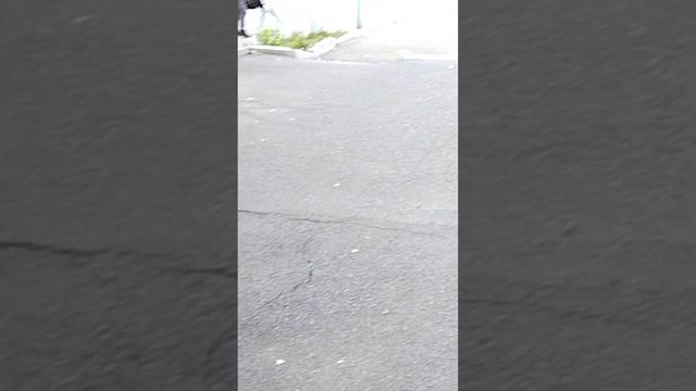 Чел украл мой самокат 2 часть смотреть онлайн