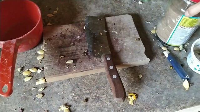 Ведро варенья из Санберри! Крапива для коз. Дыни в теплице. смотреть онлайн