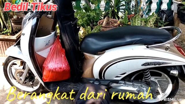 Bedil Tikus 01 : Berburu Babi Hutan Dengan PCP Pasopati Magazine смотреть онлайн