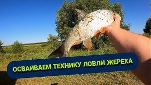 Ловля жереха на спиннинг с берега. Приманки на жереха. Как поймать жереха