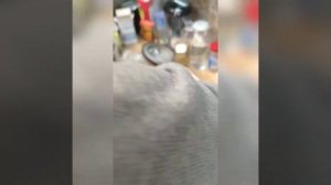 Очень вкусный плов в афганском казане.