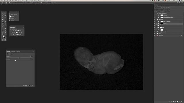 Newborn Retouch - High Speed Workflow - High End